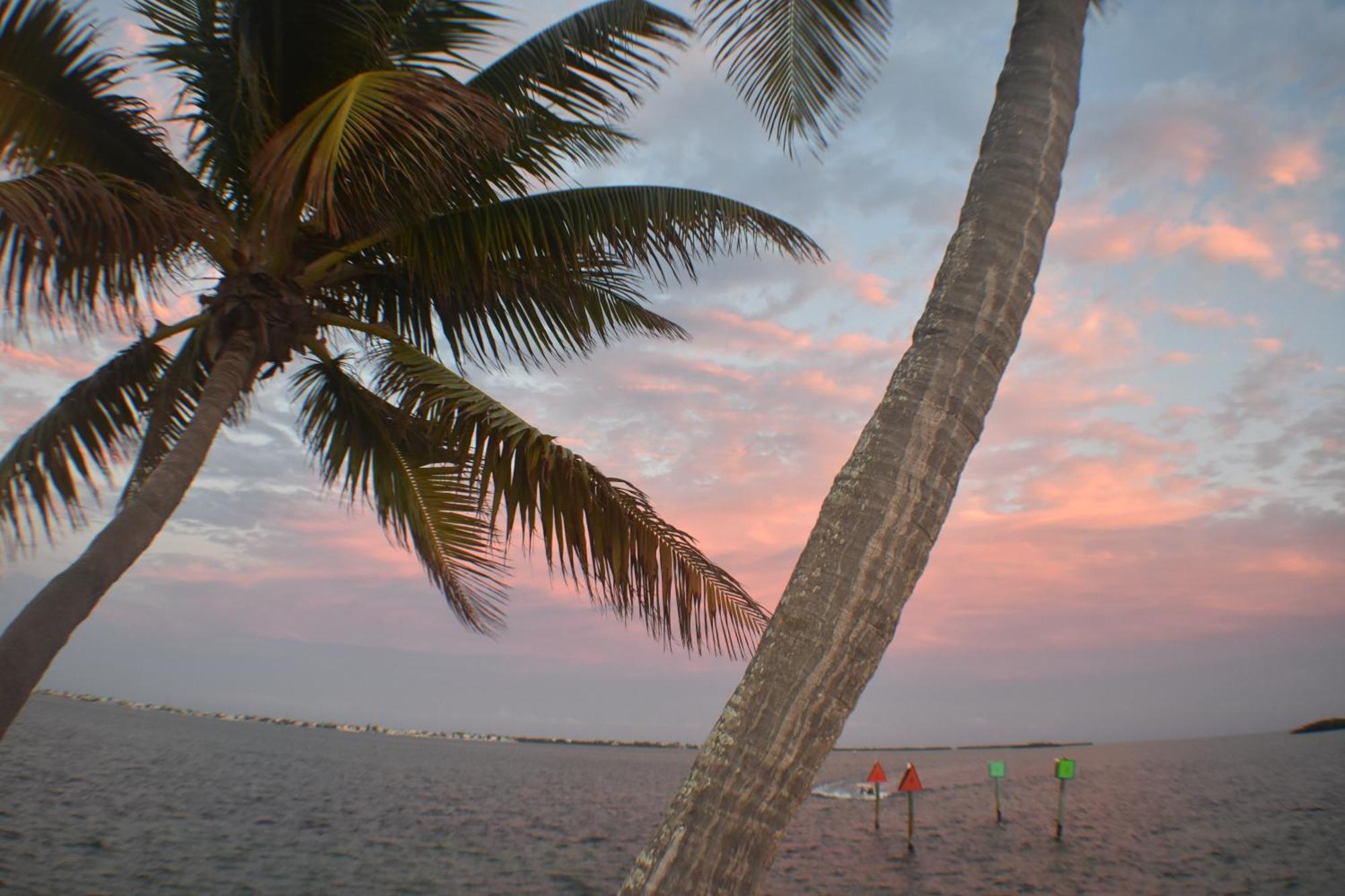 Pelican'S Roost, Waterfront Comfort At Venture Out Cudjoe Key Exterior photo